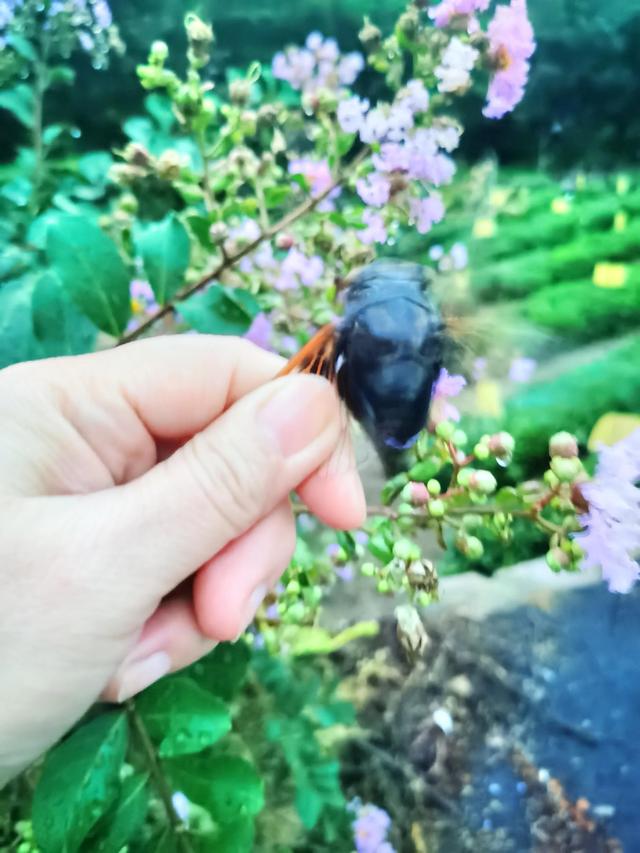 抖音形体课程有用么，抖音上的形体课有用吗！