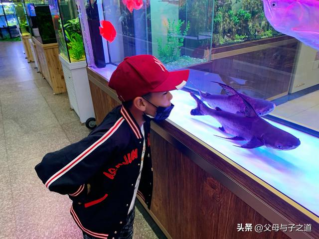 幼儿行为观察记录与分析心得体会，幼儿行为观察记录与分析心得体会的标题！