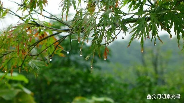 抖音上理财课程是真的吗吗，抖音上理财课程是真的吗吗知乎！