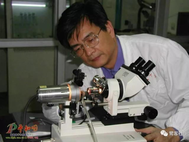 荟的寓意和象征,用于公司取名，荟的寓意是什么！