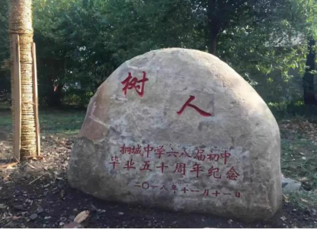 贺字取名寓意好吗，贺字取名寓意好吗女孩！