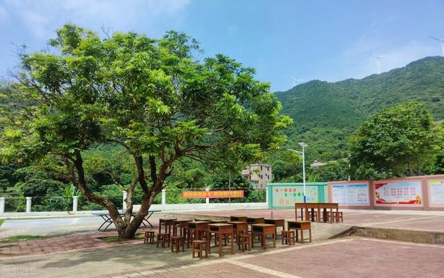 大班《我心中的小学》教案反思总结（大班《我心中的小学》教案反思大全）