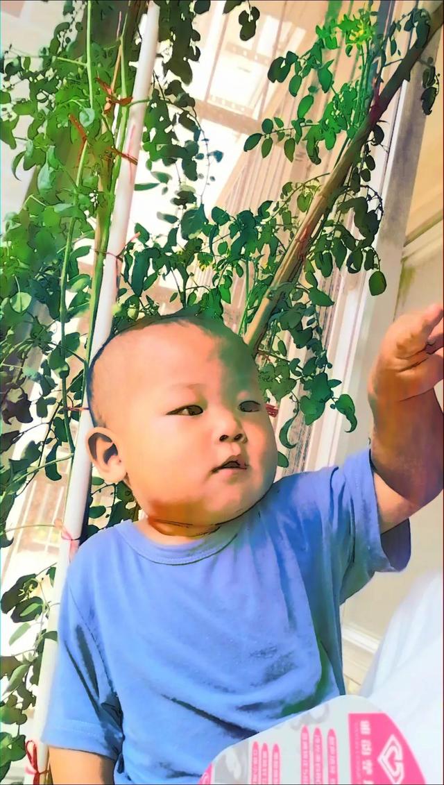 小红书育儿知识达人排行榜，小红书上的育儿达人！