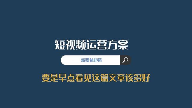 网络营销方案案例范文，网络营销方案案例范文蜜雪冰城！
